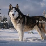 Nombre para perro husky siberiano macho