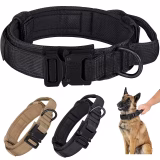 Mejor Collar para Husky Siberiano: Económico, Adaptable y Disponible en AliExpress